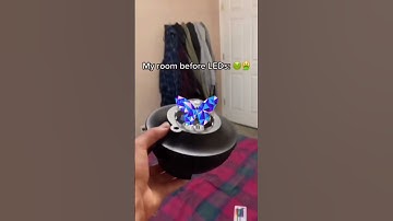 ROOM TRANSFOORM!! | Daily Led Lights