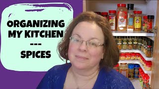 HOW TO ORGANIZE SPICES IN A CABINET WITH A SPICY SHELF DELUXE