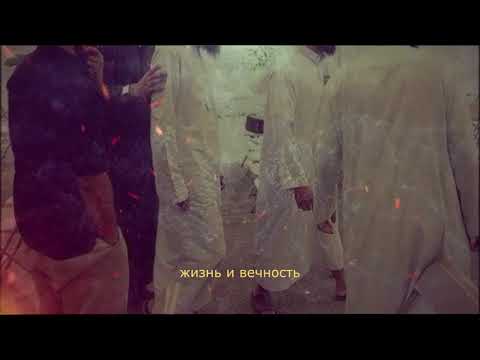 САМЫЙ КРАСИВЫЙ НАШИД