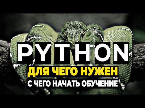 Для чего нужен язык Python и с чего начать обучение