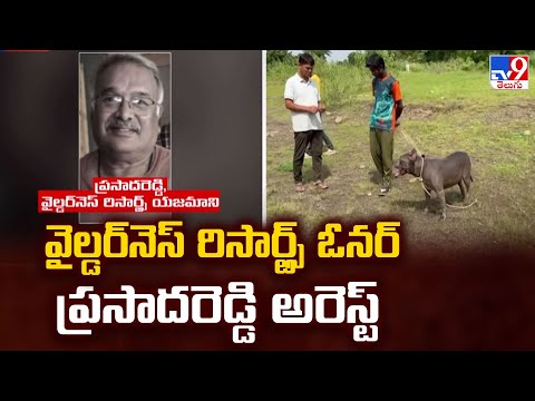 వైల్డర్‌నెస్ రిసార్ట్స్ ఓనర్ ప్రసాదరెడ్డి అరెస్ట్ - TV9 - TV9