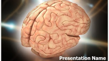 Brain PowerPoint Presentation Template - TheTemplateWizard.com