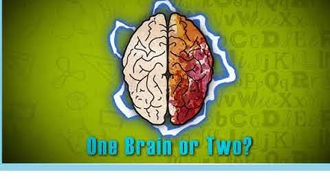 Action 10 module 6 p70 One Brain or Two video version