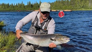 Aurora, bear and flyfishing for big salmon at Camp Onka, Lapland Guesthouse in Kangos 2027 Aug 2022