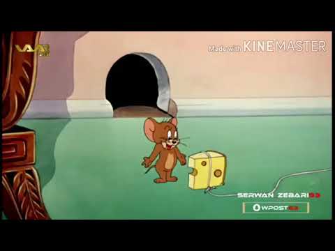 توم و جيري كوردي باديني فول كوميدي شتراك بكن لايك 