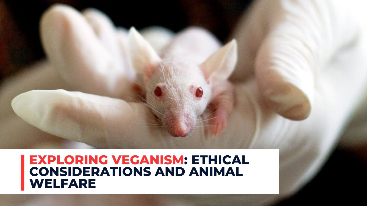 WHAT IS VEGANISM visual data 2