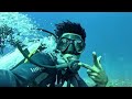 The Secret Life Beneath the Waves (Full Dive Experience).