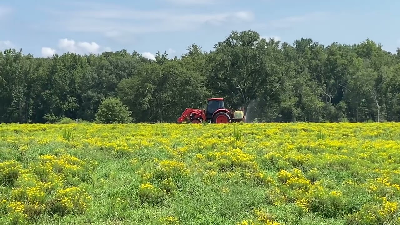 Spraying the hay fields with the orange tractor!
