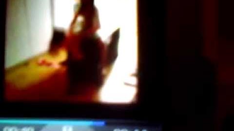 The Life of a Boxercizer