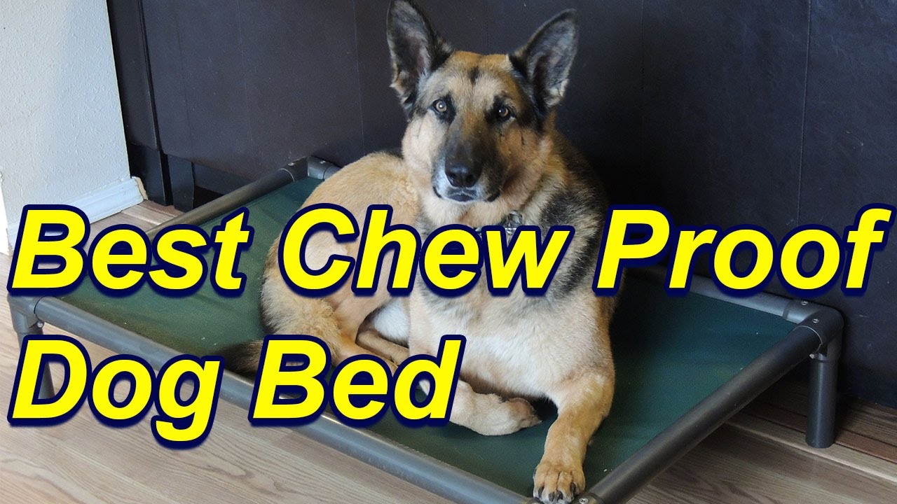 Favorite Chew Proof Dog Bed - Youtube