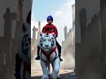 A brave boy