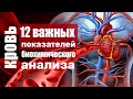 12 показателей биохимического анализа крови, которые должны знать все