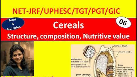 Cereals: Structure, composition, Nutritive value, Food and Nutrition, Home Science NET JRF TGT PGT