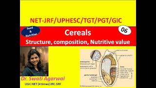 Cereals: Structure, composition, Nutritive value, Food and Nutrition, Home Science NET JRF TGT PGT