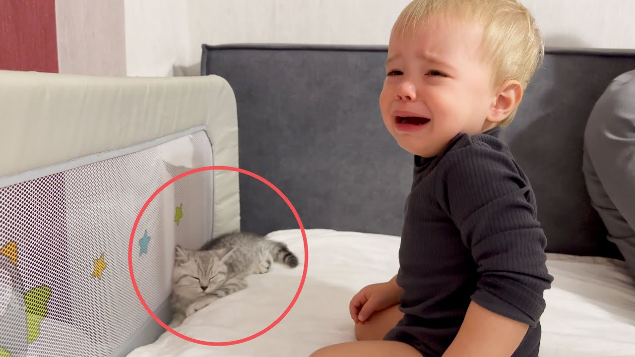 Adorable Kitten Makes Baby Cry Because... So Emotional!
