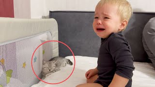 Adorable Kitten Makes Baby Cry Because... So Emotional!