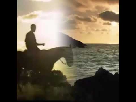 نانسي عجرم امتى هشوفك حالات واتس اب شوق وحب