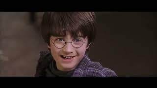 Harry Potter - The Zoo Music Video