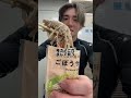 ファミマのごぼうサラダちゃんがまじでうますぎてwwwww食えば食うほどうまくなってくんの笑うwwwwwwまじ騙されたと思って5回食ってみwwwばちうめえよwwww#ごぼうちゃんしか勝たん