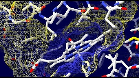 Electrolytes and nonelectrolytes