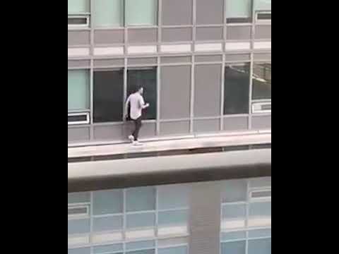 აი, ნამდვილი სიყვარული - კანადელ კატას მართლაც გაუმართლა