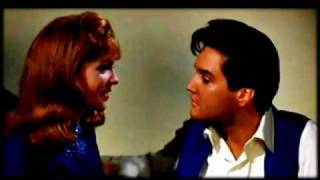 Elvis Presley - Could I fall in love (alt harmony take) chords