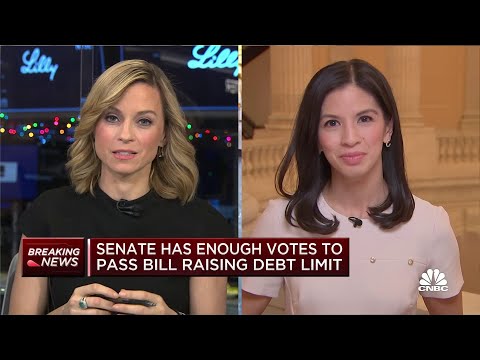 Senate has votes to raise debt ceiling by $2.5 trillion