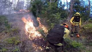 Brigadistas forestales al límite B.C 904