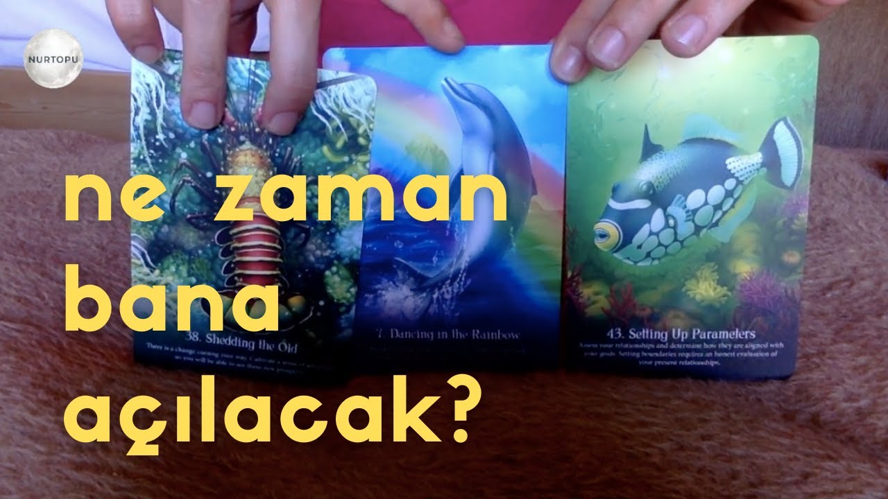 Ne zaman bana açılacak? ⚡️ Deste Seç
