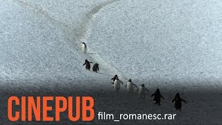 The Explorer | Documentary Film | CINEPUB screenshot 2