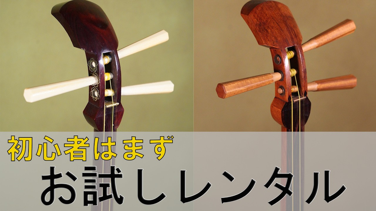 三味線 5本まとめセット 細棹 撥 駒 予備弦 付属
