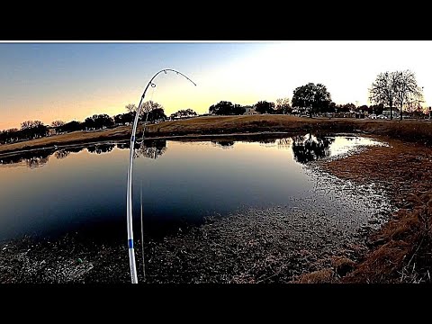 Got Chance To Fix My Itch To Fish Today “BASS ON FIRE” #fishing