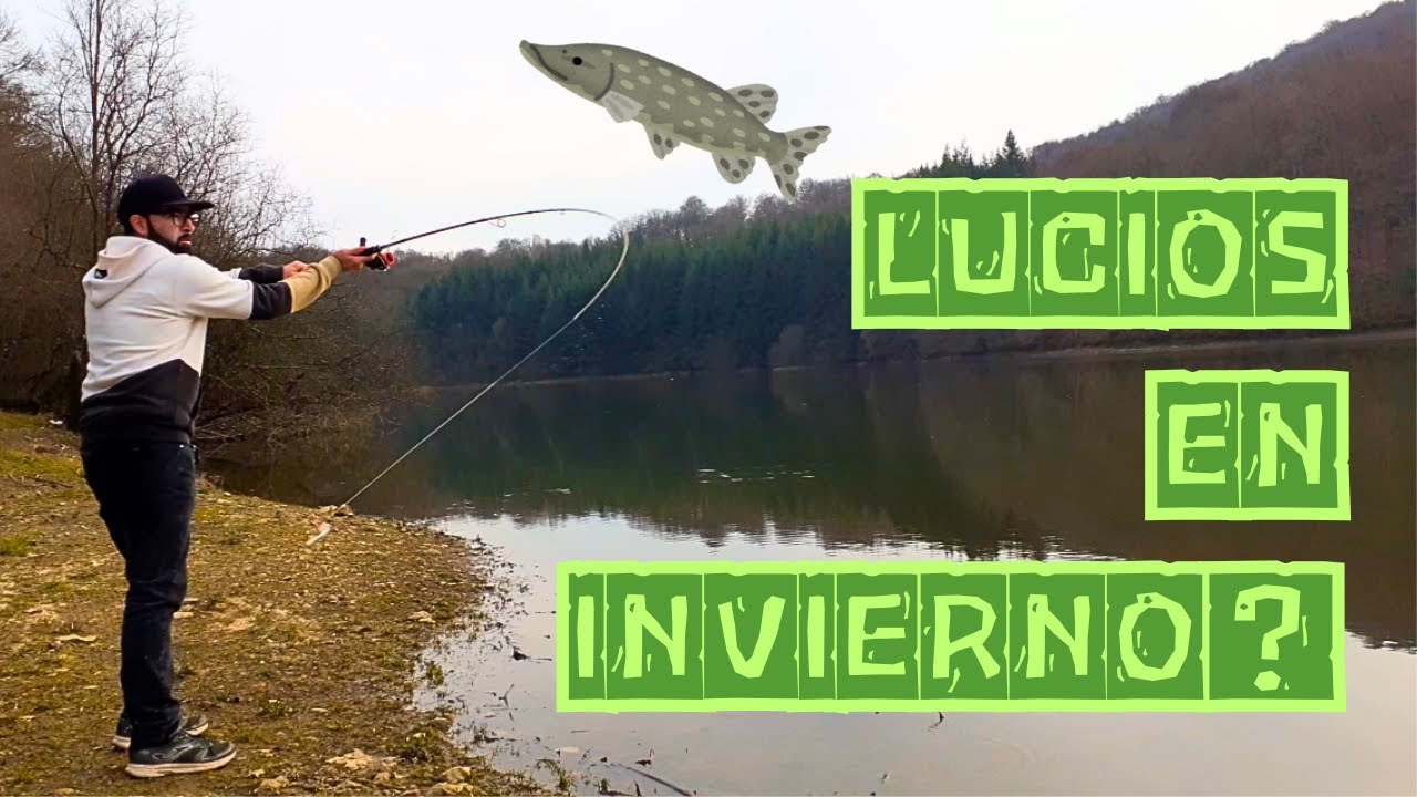 Pesca de lucios desde orilla en invierno