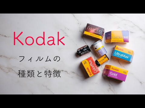 「期間切れ」Kodak Portra 800 Kodak Ektar 100 PORTRA800 120-5p KODAK PROFESSIONAL カラーネガフィルム 1箱