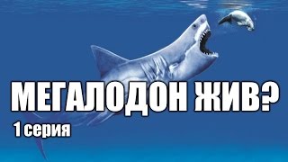 Мегалодон - акула, которая еще жива? (1 серия) | Интересные факты