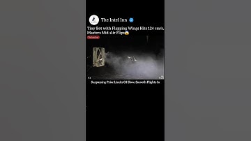 Tiny Bot with Flapping Wings Hits 124 cm/s, Masters Mid-Air Flips😱 #Robotics #Dronetech