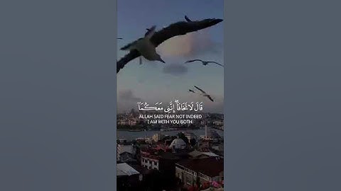 تلاوة هادئة تريح الاعصاب🌹🖤القرآن الكريم💚 بصوت جمي💚💚تلاوة عطرة +❤️ #coran #قرآن #quran