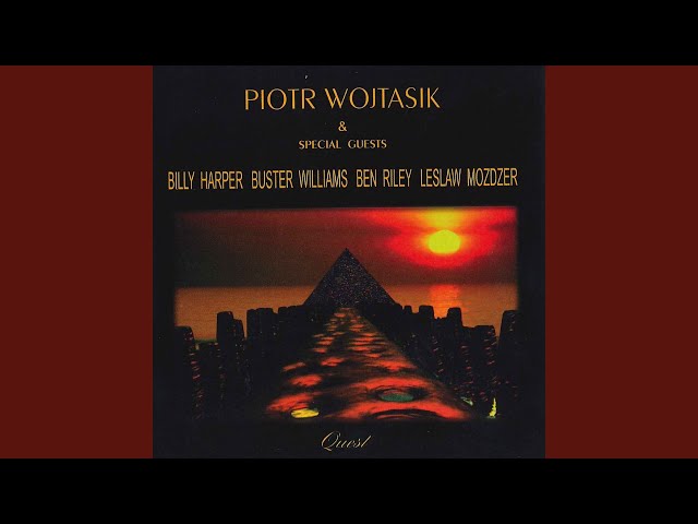 Piotr Wojtasik - If One Could Only See