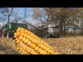 Day 2 of corn harvest 2020 with gleaner combines