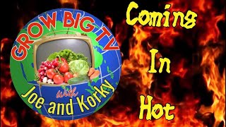 Who is Grow Big TV?