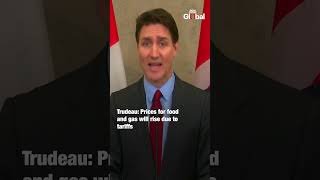 Justin Trudeau Warns: U.S. Tariffs Will Backfire On Americans | Canada vs US Trade War