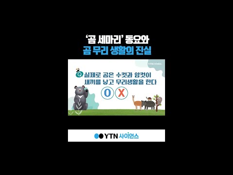 &amp;#39;곰 세마리&amp;#39; 동요와 곰 무리 생활의 진실 #shorts