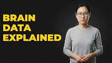 What Are The Different Brain Data Modalities?