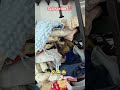 Saurabh Joshi And Avantika Ki Ldaj Bjj Gyi Cricket Funnyclips Funnyreel Saurabh Joshi And Avantika Ki Ldaj Bjj Gyi Cricket Funnyclips Funnyreel