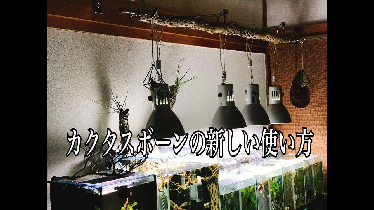 ちょこ丸がヴォルテス吊り下げラックを作るとこうなる Youtube