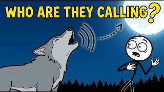 Why Do Wolves Howl At The Moon?