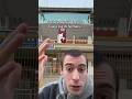 CAIRO VENDE IL TORINO A LOLLO..?!