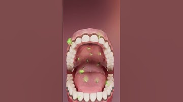 Học và Hỏi - Tại sao miệng bạn lại có mùi hôi vào buổi sáng? #xuhuong #shorts #viral #khampha #facts