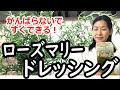 【ローズマリーを使おう！】かんたん！すぐできる！ローズマリードレッシング