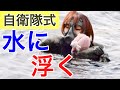 【サバイバル女子】自衛隊式！溺れない！ズボンで浮くサバイバル術！Disaster prevention!!poorly water